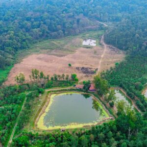 Farm Plots - Bagepalli